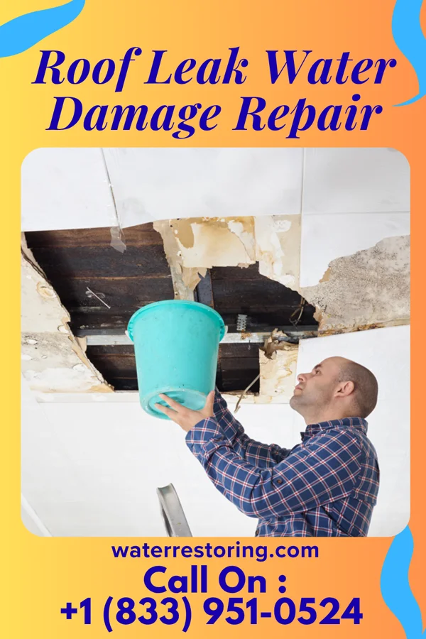 Roof Leak Water Damage Repair in Taloga, OK